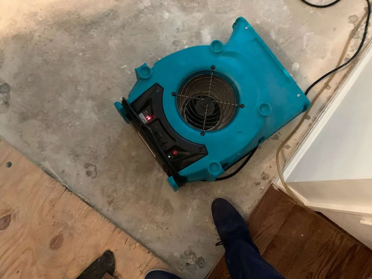 Air mover drying subfloor during Leak Detection & Repair in Hilton